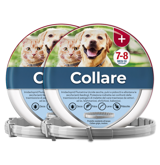 2 Collari antipulci e antizecche