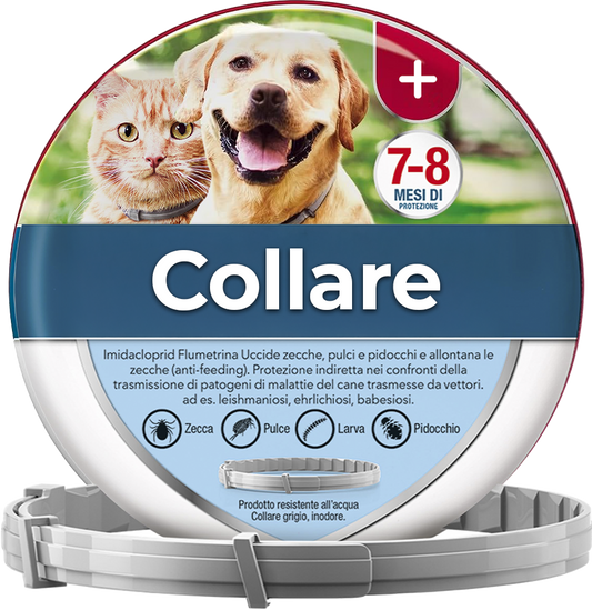 Collare antipulci e antizecche